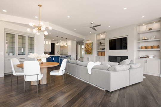 Living room with dining area